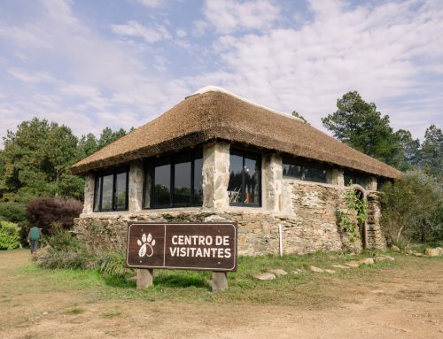 Actividades en la Reserva Cerro Negro
